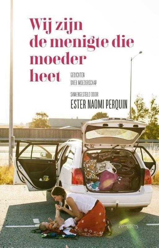 Wij zijn de menigte die moeder heet (9789044639636), Antiek en Kunst, Antiek | Boeken en Manuscripten, Verzenden