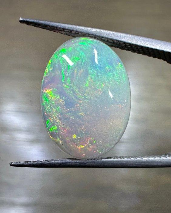 3,81ct Welo Opaal Cabochon- 0.76 g, Verzamelen, Mineralen en Fossielen