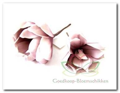 Magnolia foambloem Kort Old Pink DOOS 12 stuks Magnolia, Huis en Inrichting, Woonaccessoires | Kunstplanten en Kunstbloemen, Nieuw