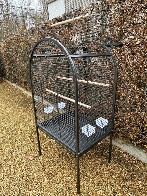 Papegaai / parkieten kooi Reno, Dieren en Toebehoren, Vogels | Hokken en Kooien