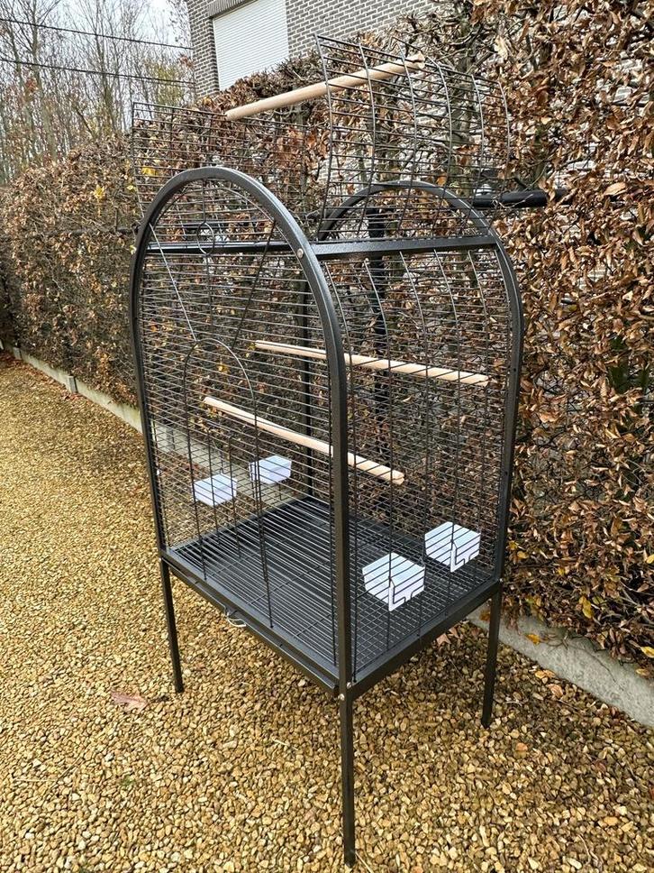 Papegaai / parkieten kooi Reno, Dieren en Toebehoren, Vogels | Hokken en Kooien