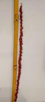 Bloedkoraal Koraal - Corallium rubrum (Zonder minimumprijs), Antiek en Kunst, Curiosa en Brocante