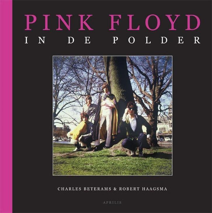 Pink Floyd in de polder 9789059941809 R. Haagsma, Boeken, Muziek, Gelezen, Verzenden