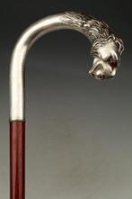Canne de marche - Argent 800, Antiek en Kunst