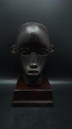 Prachtig hoofd, bewaker van relikwieën - Giftand - Gabon