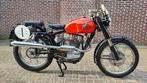MV Agusta - 6 Days - CSS - 5V - Regolarita - Monoalbero -, Motoren