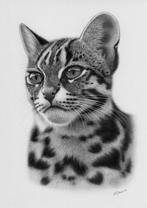 Schu - Leopard cat, Antiquités & Art, Art | Peinture | Moderne