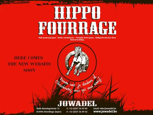 Voordroog- hooi Hippo Fourrage, Animaux & Accessoires, Chevaux & Poneys | Autres trucs de cheval