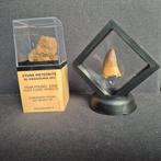 Al haggounia meteoriet mossasaurus tand in display - Hoogte: