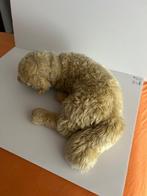 Steiff - Speelgoed Steiff Hund liegend - 2000-2010 -, Antiek en Kunst