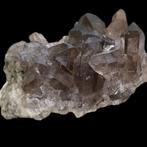 Rookkwarts Kristallen op matrix - Hoogte: 10 cm - Breedte: 7, Collections