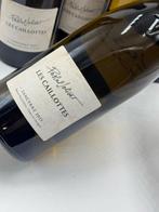 2024 Pascal Jolivet Les Caillottes - Sancerre - 6, Nieuw