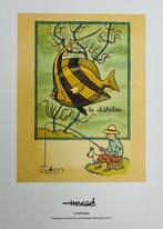 Magnifique Chromolithographie ( le chétodon) encre de Chine,