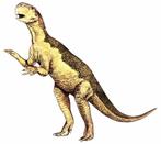 Authentiek Psittacosaurus ischiumbot - Fossiel skelet -