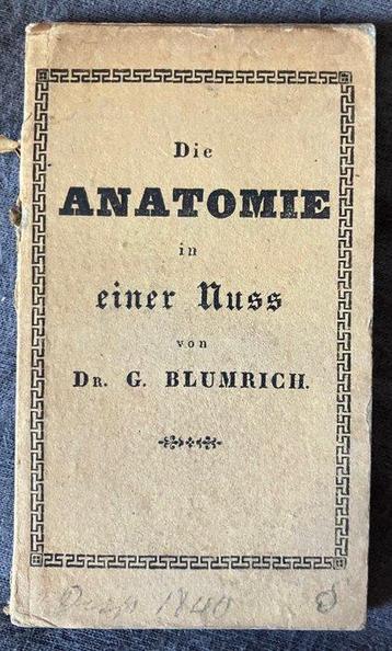 Blumrich - (Miniaturbuch) Die Anatomie in einer Nuss - 1836