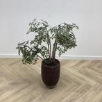 Tweedehands Stenen plantenbak met kunstplant,  108 cm, Huis en Inrichting, Kamerplanten