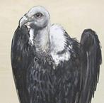 Jean Poulain (1884 - 1967) - Vautour