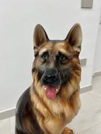 Capodimonte - Capodimonte - Beeld, Pastore Tedesco - 92 cm -