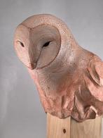 Federico Alibrio - White Barn Owl