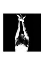 João de Castro - Devotion - Pearl Series”