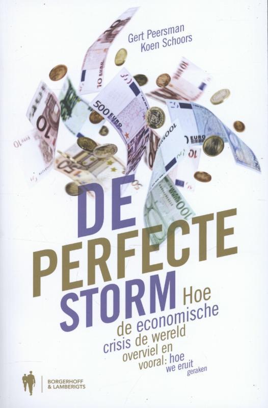 De perfecte storm 9789089313195 Koen Schoors, Livres, Économie, Management & Marketing, Envoi