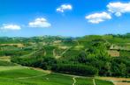 Franco Turcati - Langhe estate, Antiek en Kunst