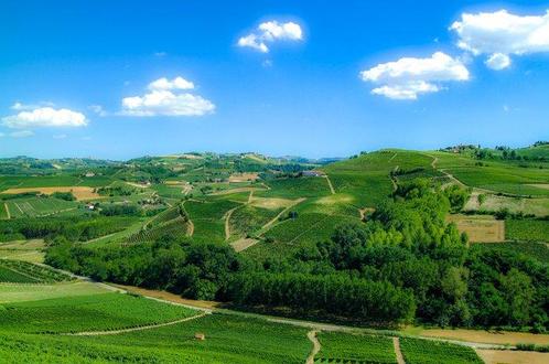 Franco Turcati - Langhe estate, Antiek en Kunst, Kunst | Schilderijen | Modern