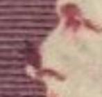 Belgique 1939 - 100 Fr. Grote Montenez en paire avec l’année, Postzegels en Munten, Gestempeld