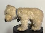 Steiff Ijsbeer/polar beer, EAN 1312,0, 1950 - Ours en, Antiek en Kunst