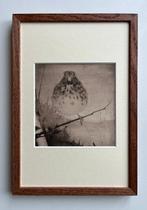 Jan Mankes (1889-1920) - Lijster op tak