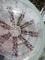 WMF / Geislingen - Set kommen (2) - Glas