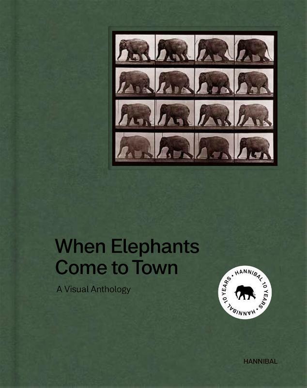 When Elephants Come to Town 9789463887519 James Attlee, Boeken, Taal | Engels, Zo goed als nieuw, Verzenden