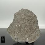 Zeer zeldzame classificatie meteoriet chondriet L7 - 78 g