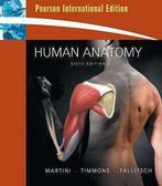 Human Anatomy 9780321539090 Frederic H. Martini, Verzenden, Frederic H. Martini