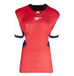 Dennis Bergkamp - Official Signed - Arsenal Icon Shirt, Verzamelen, Nieuw