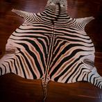 African Plains Zebra Vloerhuid - A-klasse - Balg - Equus, Collections, Collections Animaux