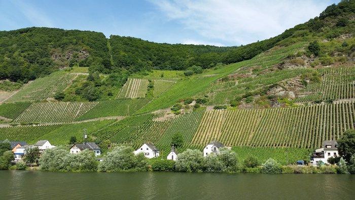 2007 Reinhold Haart, Piesporter Goldtröpfchen Riesling -, Verzamelen, Wijnen