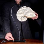 Tafellamp Nautilus bedekt met natuurlijke schelpen -