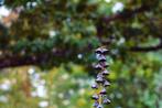 Inna Etuvgi - The Very Peak of Spring, Antiek en Kunst