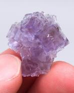 (Klassiek materiaal) paarse fluoriet van la Coquera del