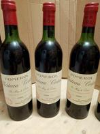 1982 Château Certan de May de Certan - Pomerol - 6, Collections, Vins