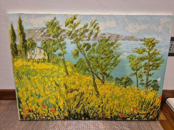 Michele Cascella (1892-1989) - Casa in collina, Antiek en Kunst, Antiek | Overige Antiek