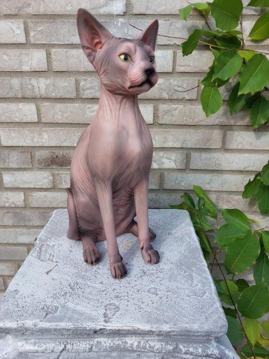 Beeld, sphynx cat - 33 cm - polyresin, Antiek en Kunst, Curiosa en Brocante