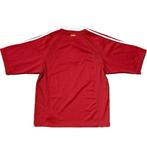 British and Irish Lions - Rugby - 2005 - Sportshirt