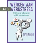 Werken aan werkstress 9789492528032 Carina Benninga, Boeken, Verzenden, Zo goed als nieuw, Carina Benninga