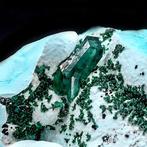 Dioptase et Malachite de première qualité sur Chrysocolle de, Verzamelen