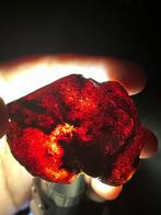 GROTE Bloedrode, Zeldzame Rauwe Amber - Barnsteen - 56.3 mm, Verzamelen
