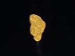 Zeldzame gouden pepita - Lapponia/Finlandia Goud nugget-