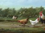 Hilaire Bals (1940) - Kippenfamilie - NO RESERVE