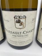 2021 Fabien Coche Charmes - Meursault 1er Cru - 3, Verzamelen, Nieuw